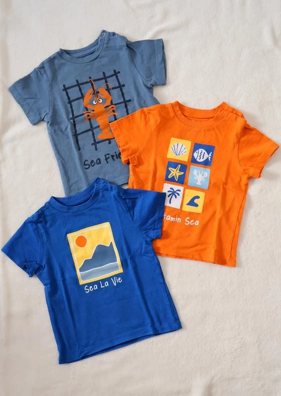 Lote 3 t-shirts menino 18/24meses, Zippy, Como novas